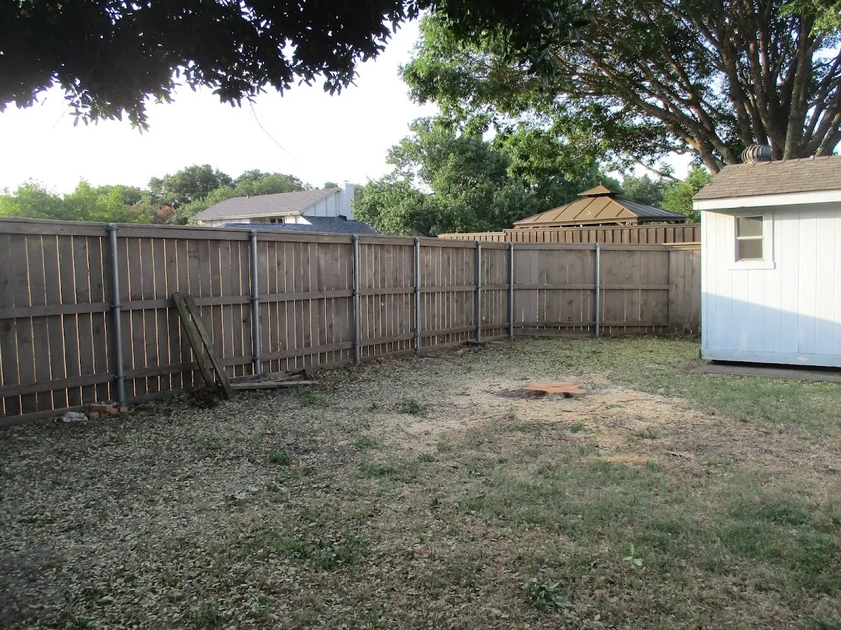 Cleared yard after professional tree removal in Stoddard